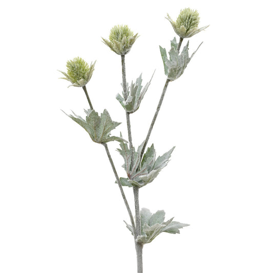 Spray eryngium on stem polyester frosted w leaves