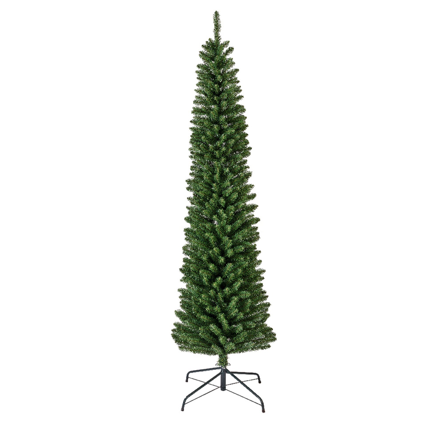 8ft Pencil pine  green - dia70cm x H.240cm